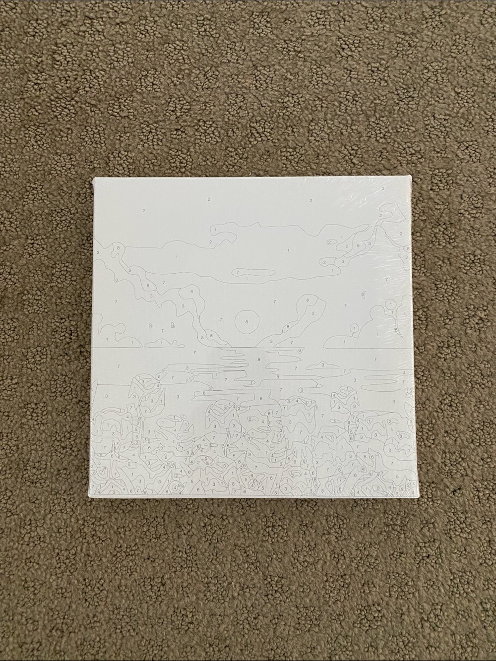 Small Square Blank Paint-by-Number Canvas Kit